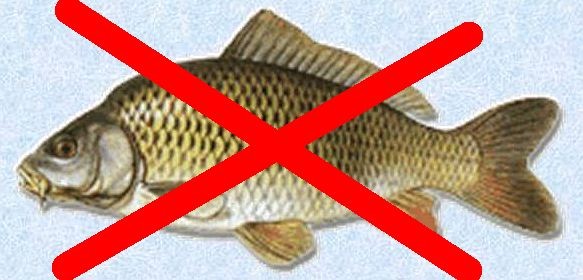 Zákaz lovu ryb - Louky